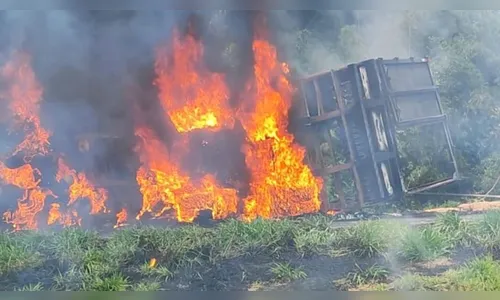 Caminhão pega fogo após tombar na BR-376 e pista é interditada