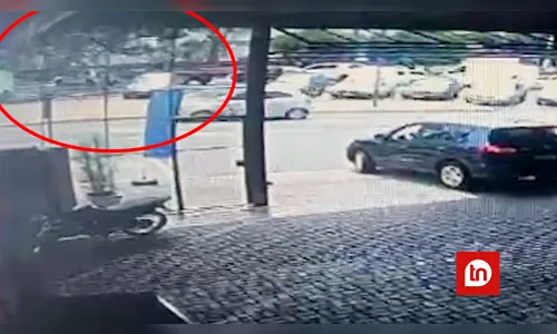 Vídeo mostra queda de árvore em frente a cemitério de Apucarana; veja