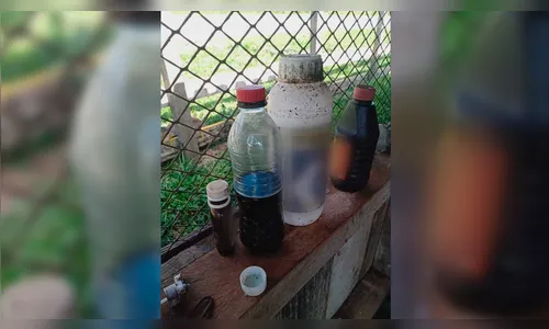 Irmãos ingerem líquido acreditando ser suco de uva e morrem no PR