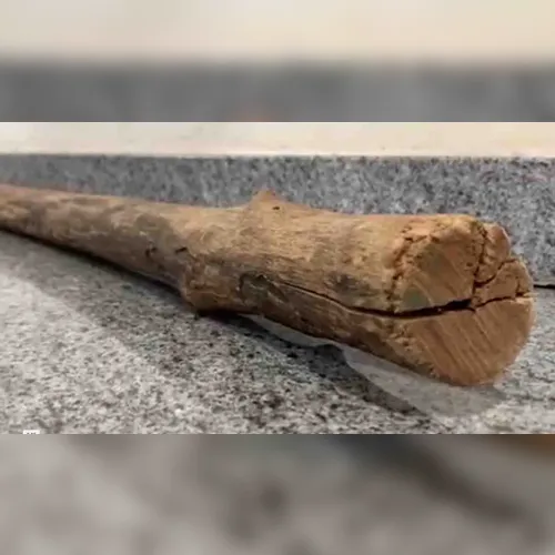 Jovem ameaça pai com pedaço de pau após discussão em Ariranha do Ivaí