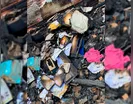 Imagem de Jesus e Bíblia ficam intactas após incêndio em residência