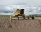 Produtores iniciam a colheita da soja e plantio do milho safrinha
