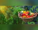 Sesan faz balanço de ações do programa de Aquisição de Alimentos