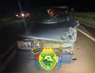 Motorista é preso por embriaguez após causar acidente em Ivaiporã