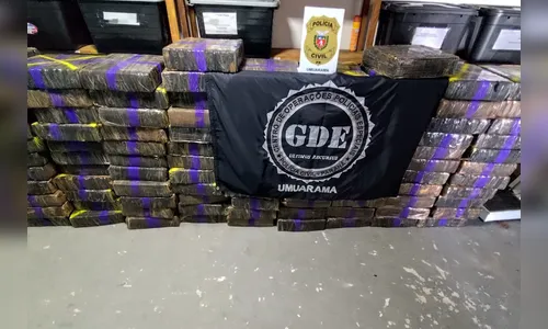 1ª grande apreensão do ano: PC localiza mais de 1 tonelada de maconha