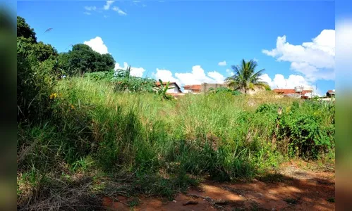 Prefeitura de Jandaia irá notificar donos de terrenos com mato alto