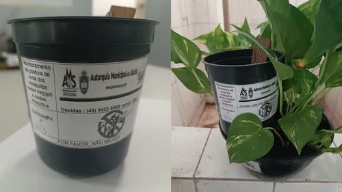 A escolha dos locais para a instalação respeitará um raio de 300 metros entre as armadilhas