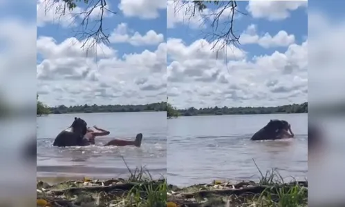 Adolescente é atacada por capivara em lago; vídeo mostra ataque