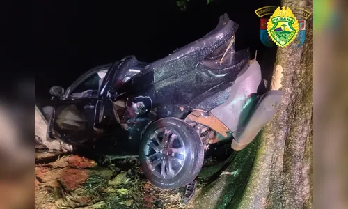 Motorista é hospitalizado após bater caminhonete contra árvore no PR
