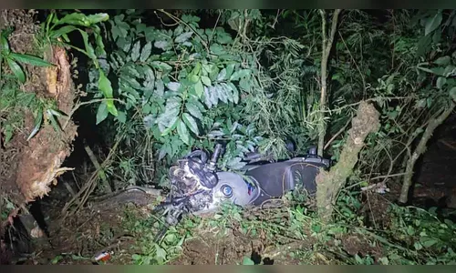 Motociclista morre após saída de pista e colisão com árvores na PR-487