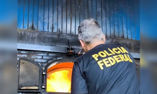 Mais de 1,8 tonelada de droga é incinerada pela polícia no PR