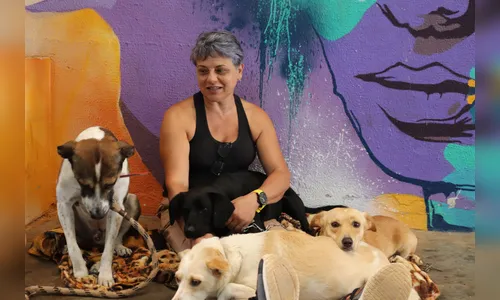 CastraPet esteriliza 400 cães e gatos em Arapongas