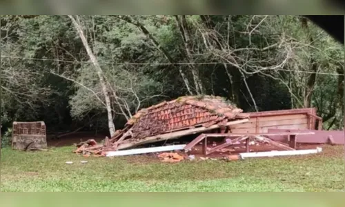 Bebê de um ano fica gravemente ferido após quiosque desabar em festa