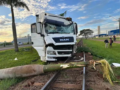 Caminhão derruba coqueiro às margens da BR-369 e danifica linha férrea