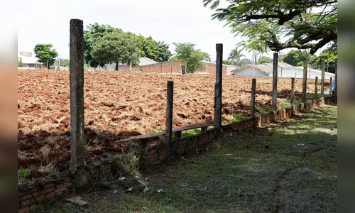 Coluna da Tribuna: A história do campo da Vila Reis