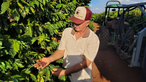 Carlos Cesar Bovo, diz que a cidade tem plantação de pés de café desde a década de 1930