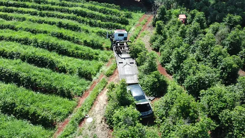 Carro é retirado da plantação