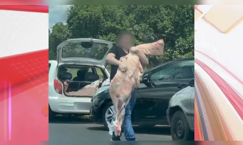 Pessoas 'abraçam' pedaços de carne ao saquearem carga no Paraná