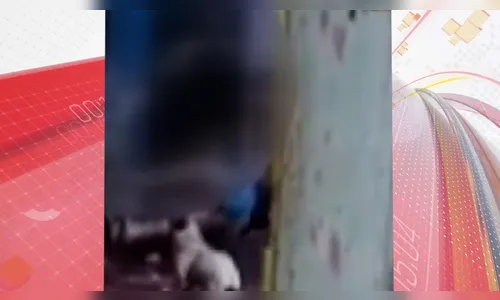 PM dá rasteira e chutes em mulheres durante ocorrência no PR; vídeo