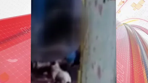 Caso foi registrado no último sábado (1º) em Santa Izabel do Oeste
