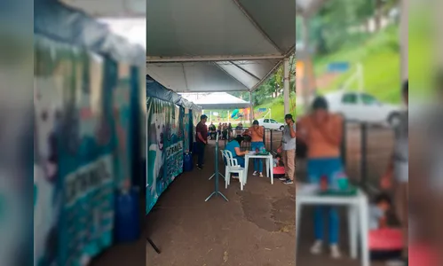 CastraPet: castração gratuita mobiliza tutores de animais em Apucarana