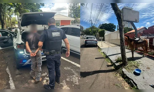 Cavalo é resgatado após ficar amarrado por horas em rua de Apucarana