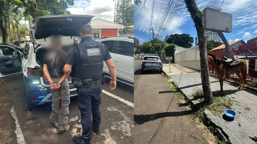 Cavalo é resgatado após ficar amarrado por horas em rua de Apucarana