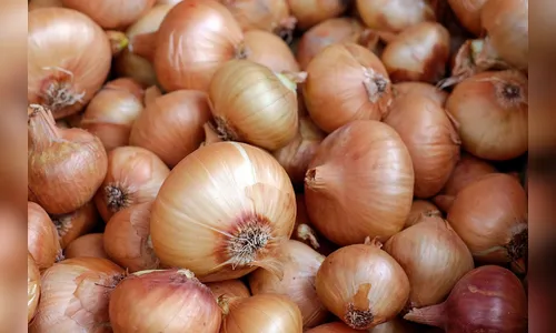 Cebola, cenoura e tomate têm alta no atacado em dezembro, diz Conab