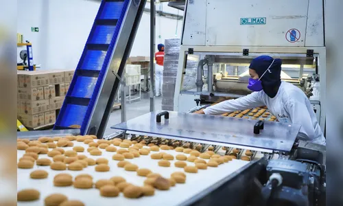 307 municípios do Paraná tiveram saldos positivos em gerar empregos