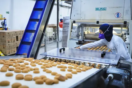 Cerca de 77% dos municípios paranaenses registraram um saldo positivo na geração de empregos com carteira assinada ao longo de 2024, segundo dados do Novo Caged divulgados pelo Ministério do Trabalho e Emprego.