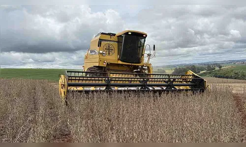 Produtores iniciam a colheita da soja e plantio do milho safrinha