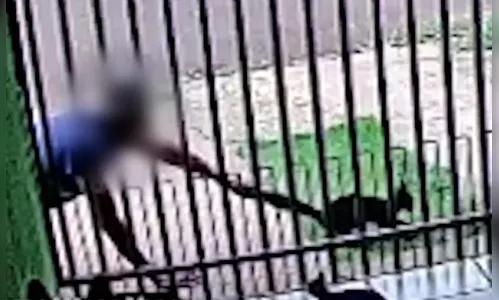 Morre gato que teve rabo puxado e foi arremessado ao chão; veja vídeo