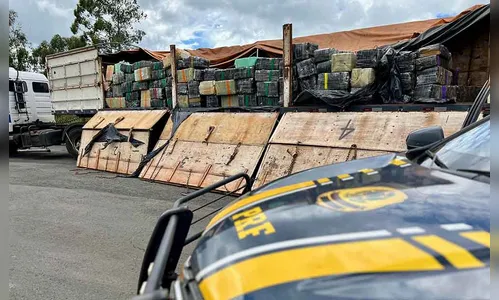 PRF apreende quase 4,5 toneladas de maconha na BR-277 em Guarapuava