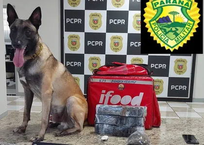 Droga foi levada para a delegacia