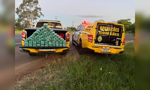 PM e Polícia Federal apreendem 104 quilos de pasta base de cocaína