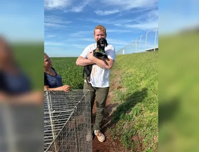 Família realizou uma força-tarefa para encontrar o animal