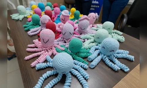 Prefeitura de Apucarana anuncia continuidade dos “polvinhos do amor’