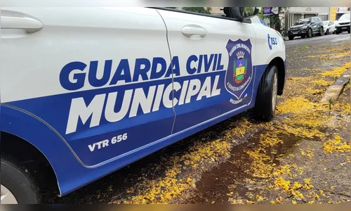 GCM de Apucarana recupera WhatsApp após número ser clonado