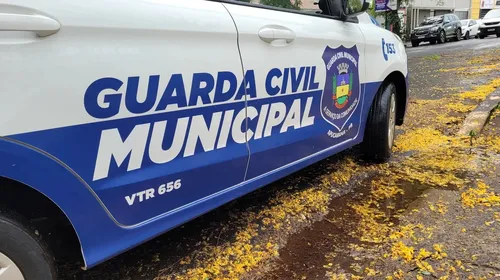 GCM Apucarana