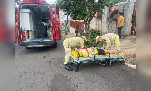 Idoso sobe em árvore para podar galhos e fica ferido após sofrer queda