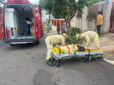 Idoso caiu de goiabeira em Apucarana