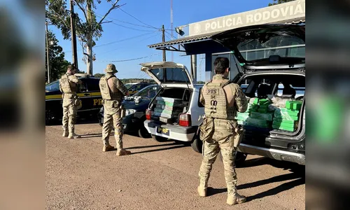 PRF apreende novo tipo de maconha 