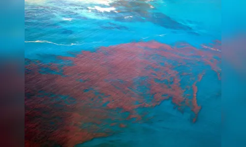 'Maré vermelha' põe litoral norte de SP em alerta