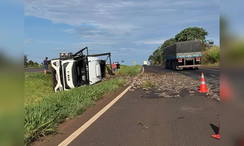 Caminhão carregado com tilápias tomba e carga fica espalhada na pista