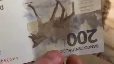 O registro da ocorrência foi feito pelo gerente da empresa na quarta-feira (5)