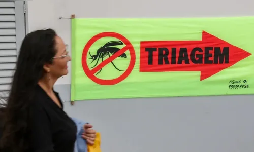 Entenda o que são sorotipos da dengue e por que o tipo 3 preocupa