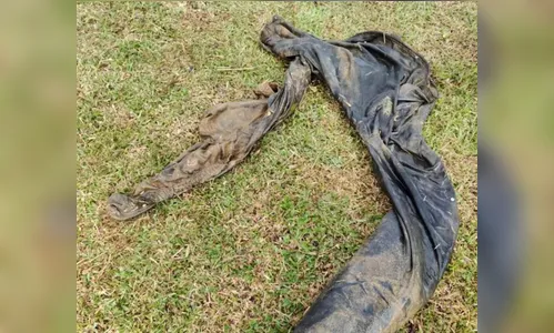 Moradores veem corpo em lago, acionam bombeiros e se surpreendem