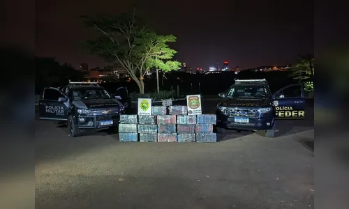 PF e PM apreendem 423 kg de maconha nas margens do Rio Paraná