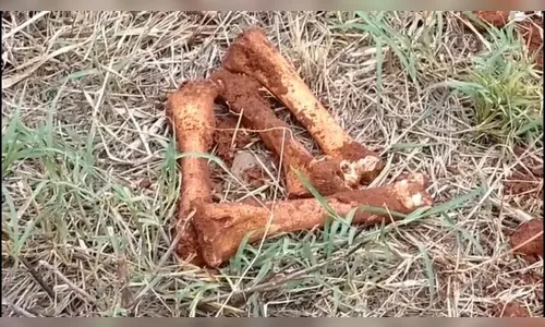 Trabalhador encontra ossada e mobiliza forças de segurança no Paraná