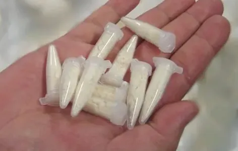 Policiais encontraram 12 tubos de cocaína